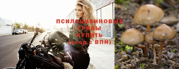 а пвп мука Арсеньев